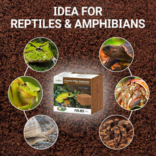 Load image into Gallery viewer, REPTI ZOO 100% Organic Reptiles Coconut Fiber Substrate 72 Quart