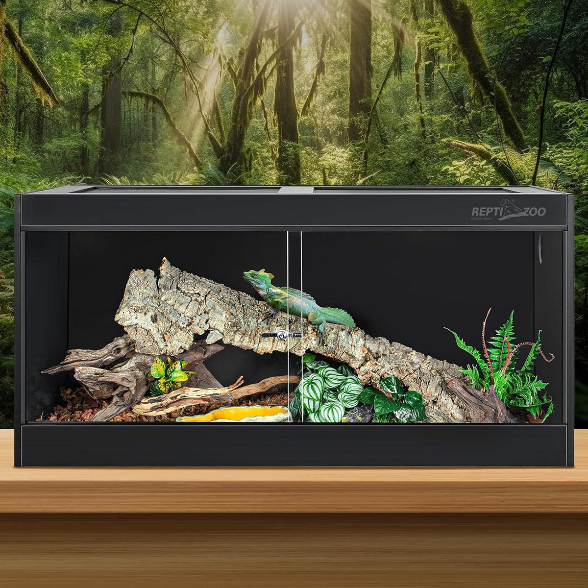 Glass reptile terrarium with a green lizard, driftwood, plants, and a forest background