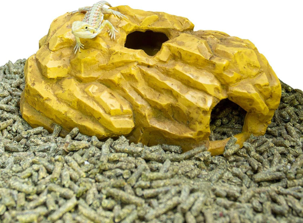 Bearded dragon on reptile cave hideout with terrarium substrate pellets