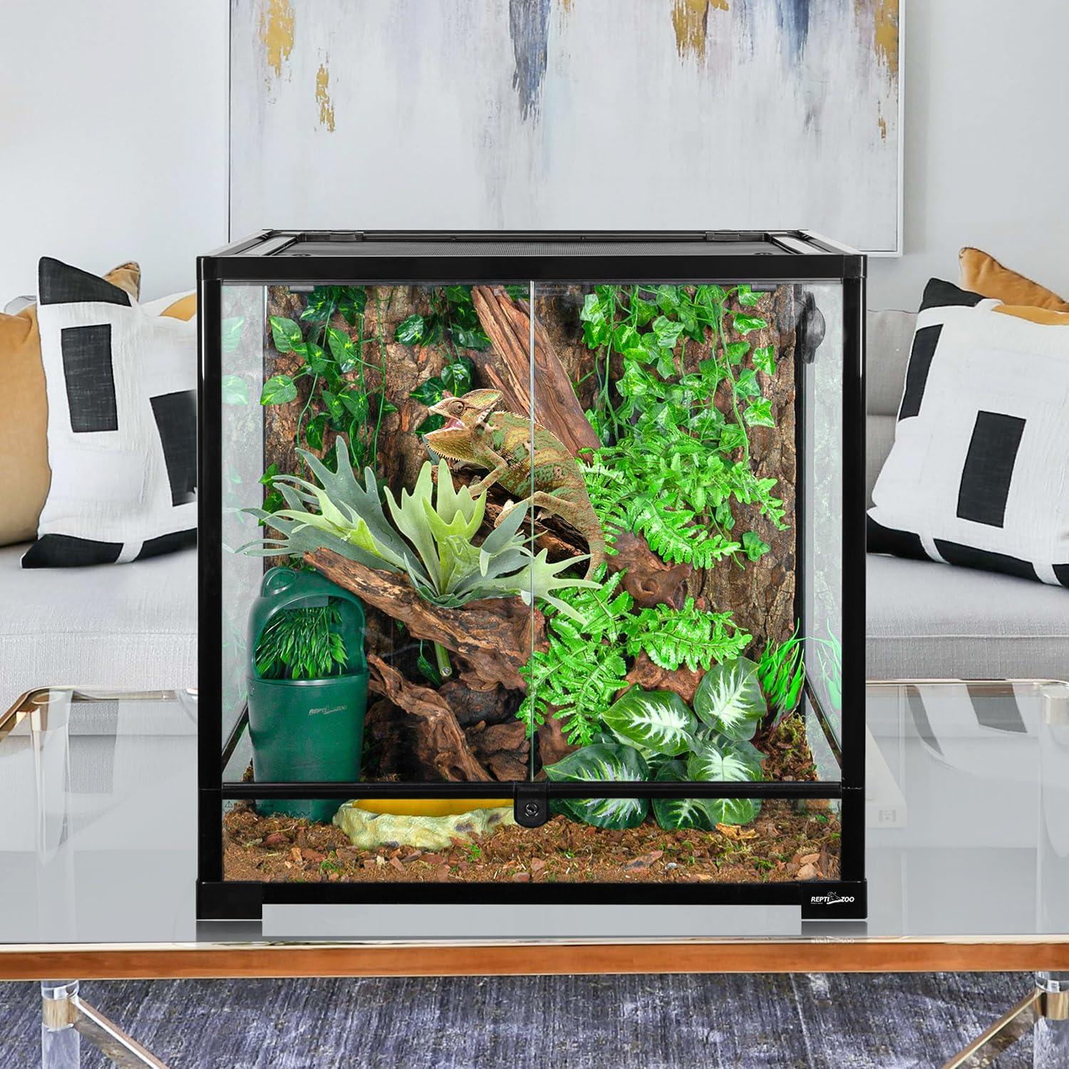 Glass reptile terrarium with plants and chameleon on a living room table
