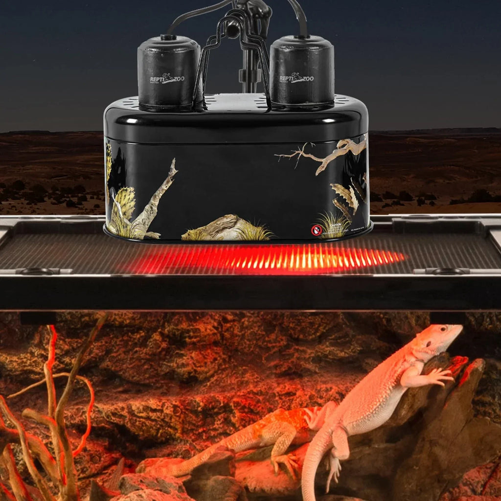 Reptile heat lamp and UVB light fixture above terrarium with bearded dragon lizard basking on rocks.