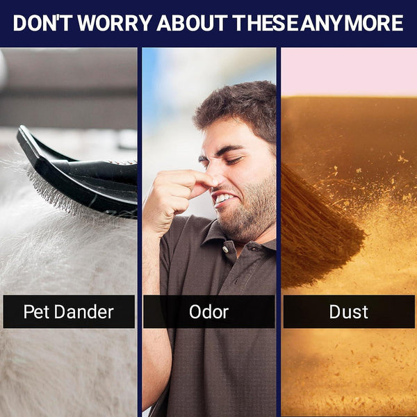 Image showing solutions for pet dander, odor, and dust with visuals of a brush, man plugging nose, and broom.