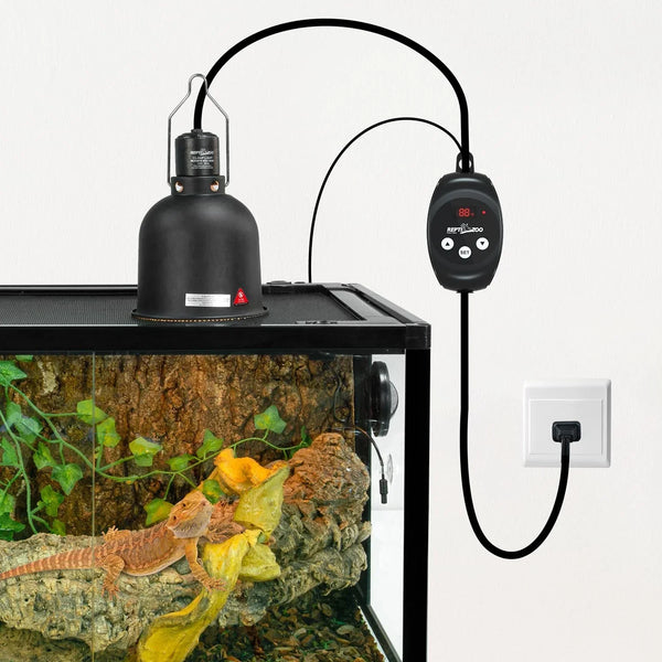 Reptile terrarium with heat lamp and digital temperature controller, bearded dragon basking on logs.
