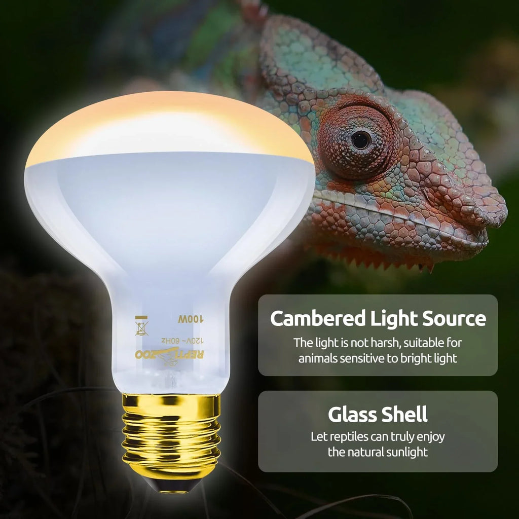 Reptile heat lamp bulb with glass shell, chameleon in background, UVB terrarium lighting