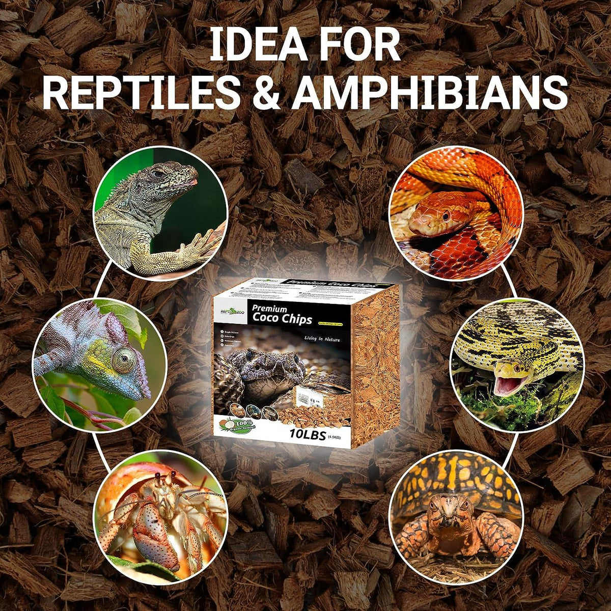 Premium coco chips substrate for reptiles and amphibians, pictured with lizard, snake, chameleon, hermit crab, turtle, and frog.