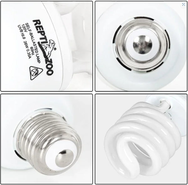 Close-up views of a self-ballasted spiral UVB reptile lamp with screw base for terrariums