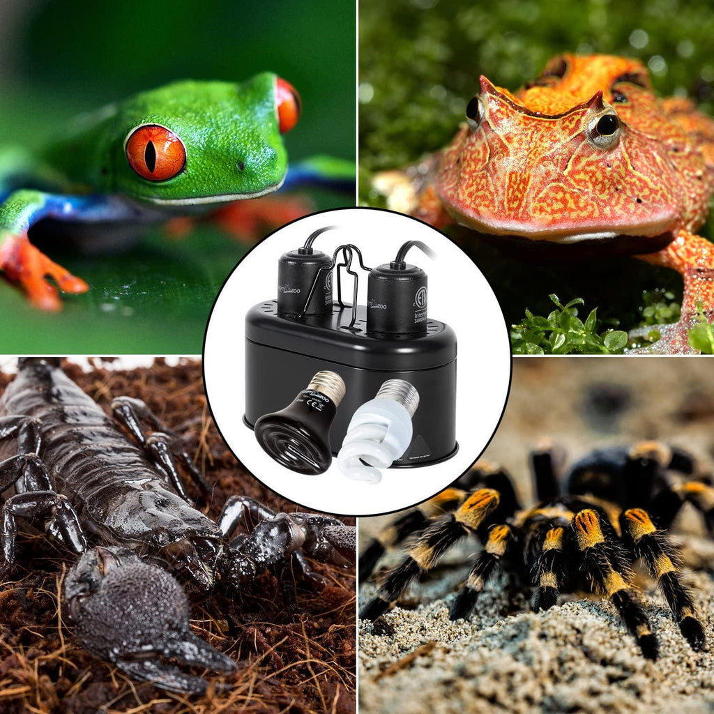 UVB heat lamp fixture for reptiles and amphibians, with frog, scorpion, and tarantula