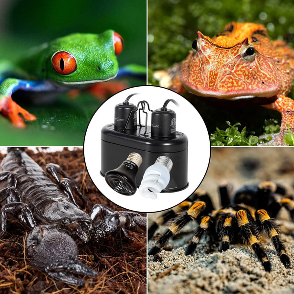 UVB heat lamp fixture for reptiles and amphibians, with frog, scorpion, and tarantula