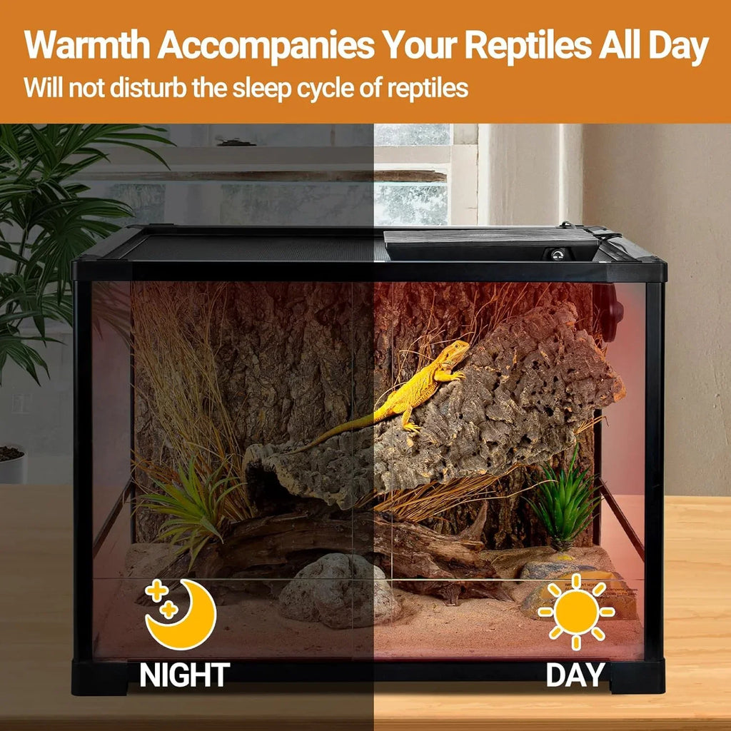 Reptile terrarium with day and night heat lamp, housing a bearded dragon on a rock background.