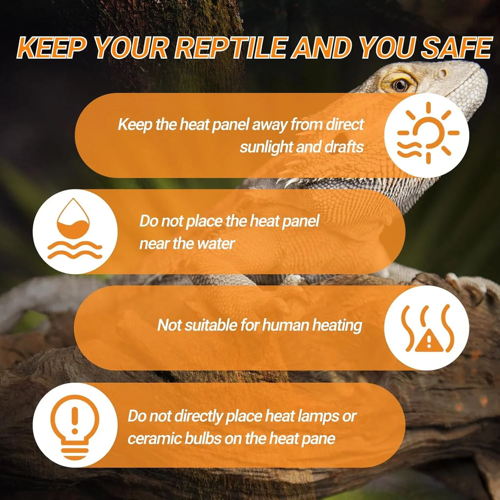 Bearded dragon on branch with reptile heat panel safety tips, icons and orange highlights.