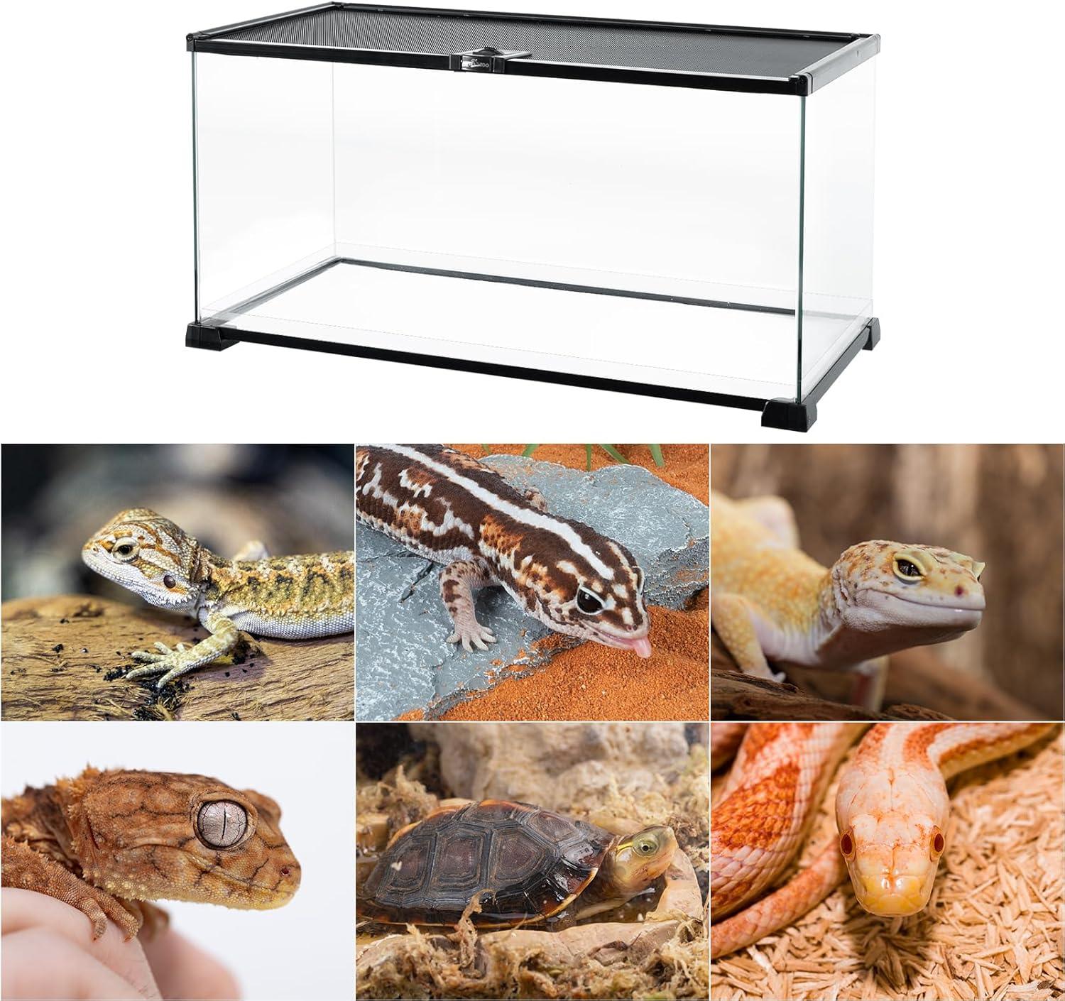 Glass reptile terrarium tank with images of geckos, turtle, and snake for pet enclosures