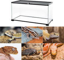 Load image into Gallery viewer, REPTI ZOO Full Glass 15 Gallon Reptile Tank, Medium Reptile Terrarium 24&quot; X 12&quot; X 12&quot; for Gecko Hermit Crab Hognose Snake etc, Top Screen Ventilation &amp; Feeding