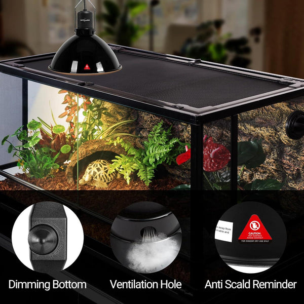 Glass reptile terrarium with plants, UVB heat lamp, ventilation hole, and dimming switch features.