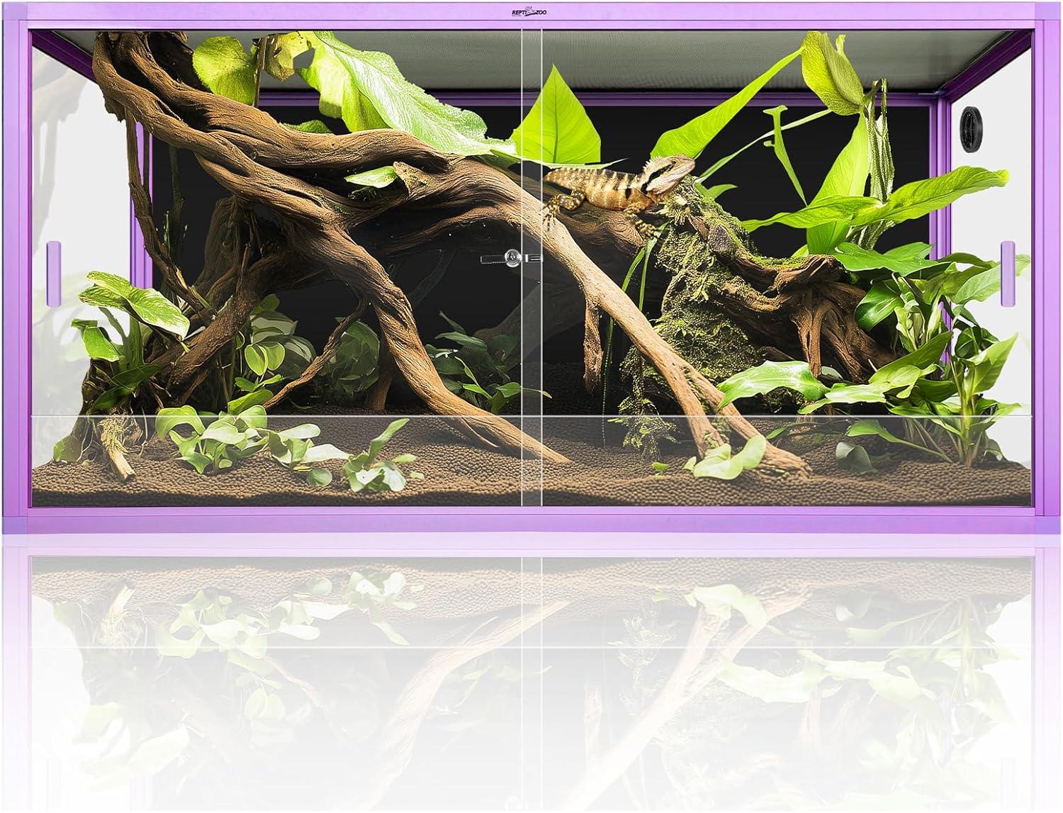 Glass reptile terrarium with purple frame, driftwood, green plants, and bearded dragon Main image