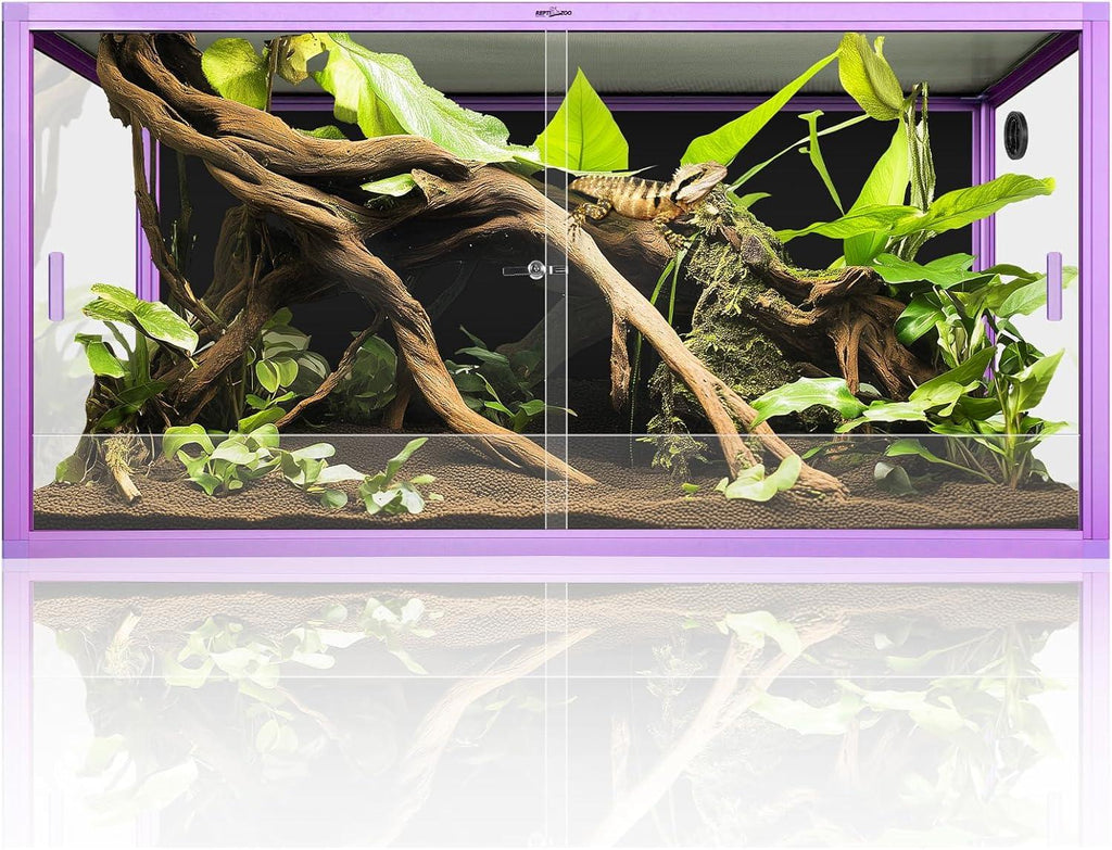 Glass reptile terrarium with purple frame, driftwood, green plants, and bearded dragon