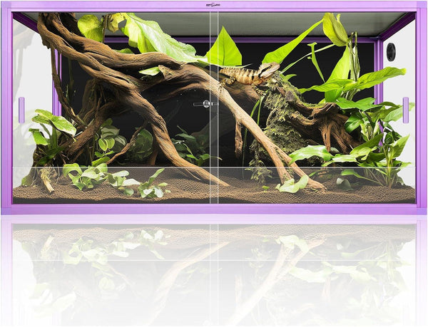 Glass reptile terrarium with purple frame, driftwood, green plants, and bearded dragon