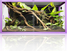Load image into Gallery viewer, REPTI ZOO New Arrival Purple Reptile Glass Terrarium Aluminum Alloy Front Opening Tank for Bearded Dragon, Snake, Lizard, Gecko
