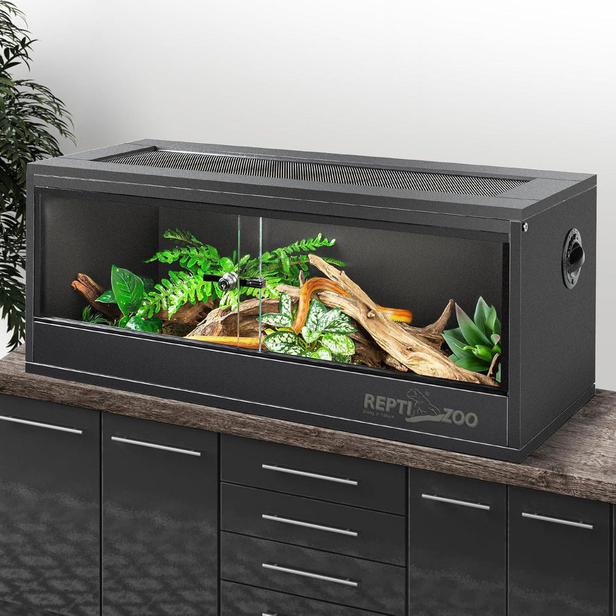 Glass reptile terrarium cage with sliding doors, ventilation, plants, and wood decor