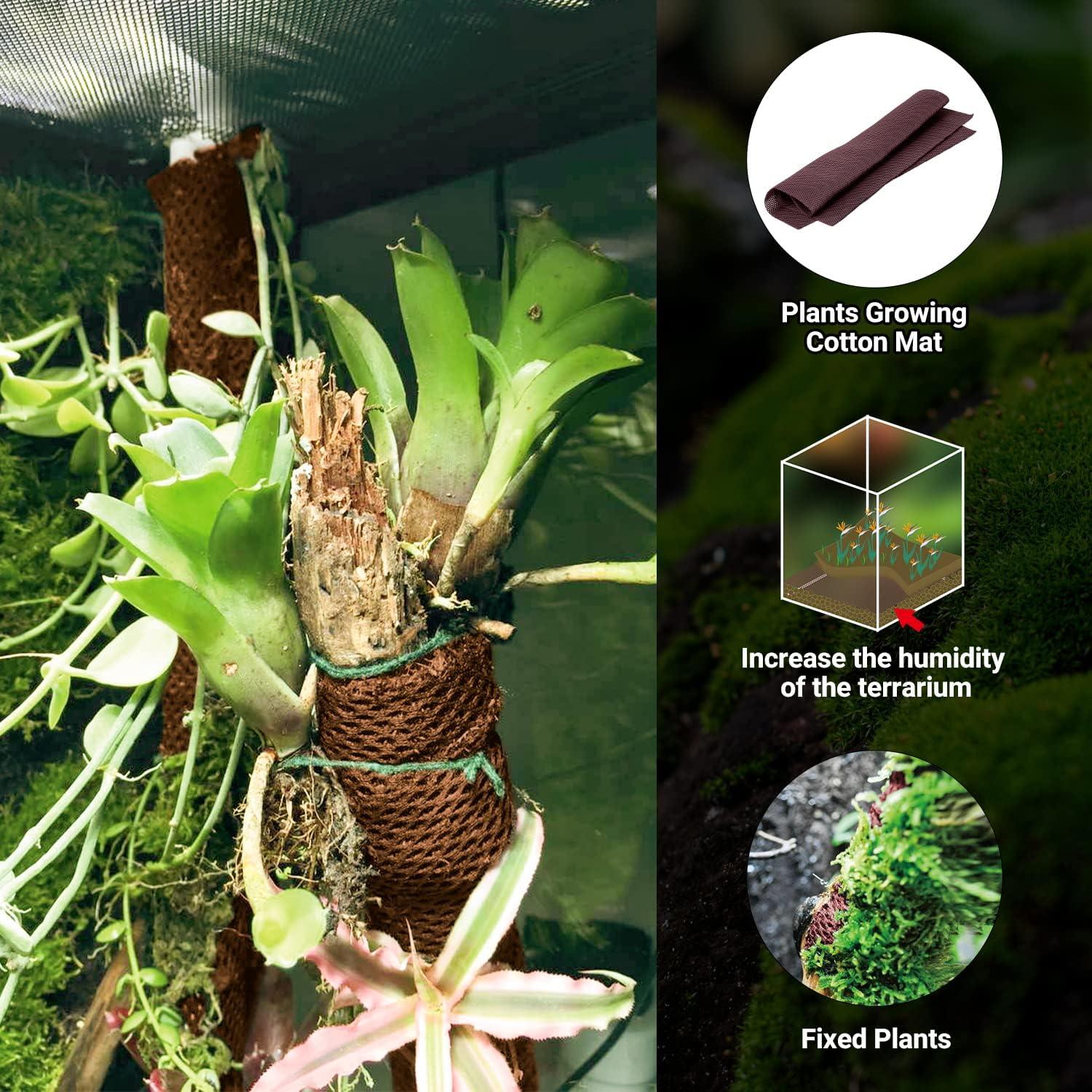 Terrarium plant attached to brown cotton mat for vertical gardening, boosts terrarium humidity, supports fixed plant growth.