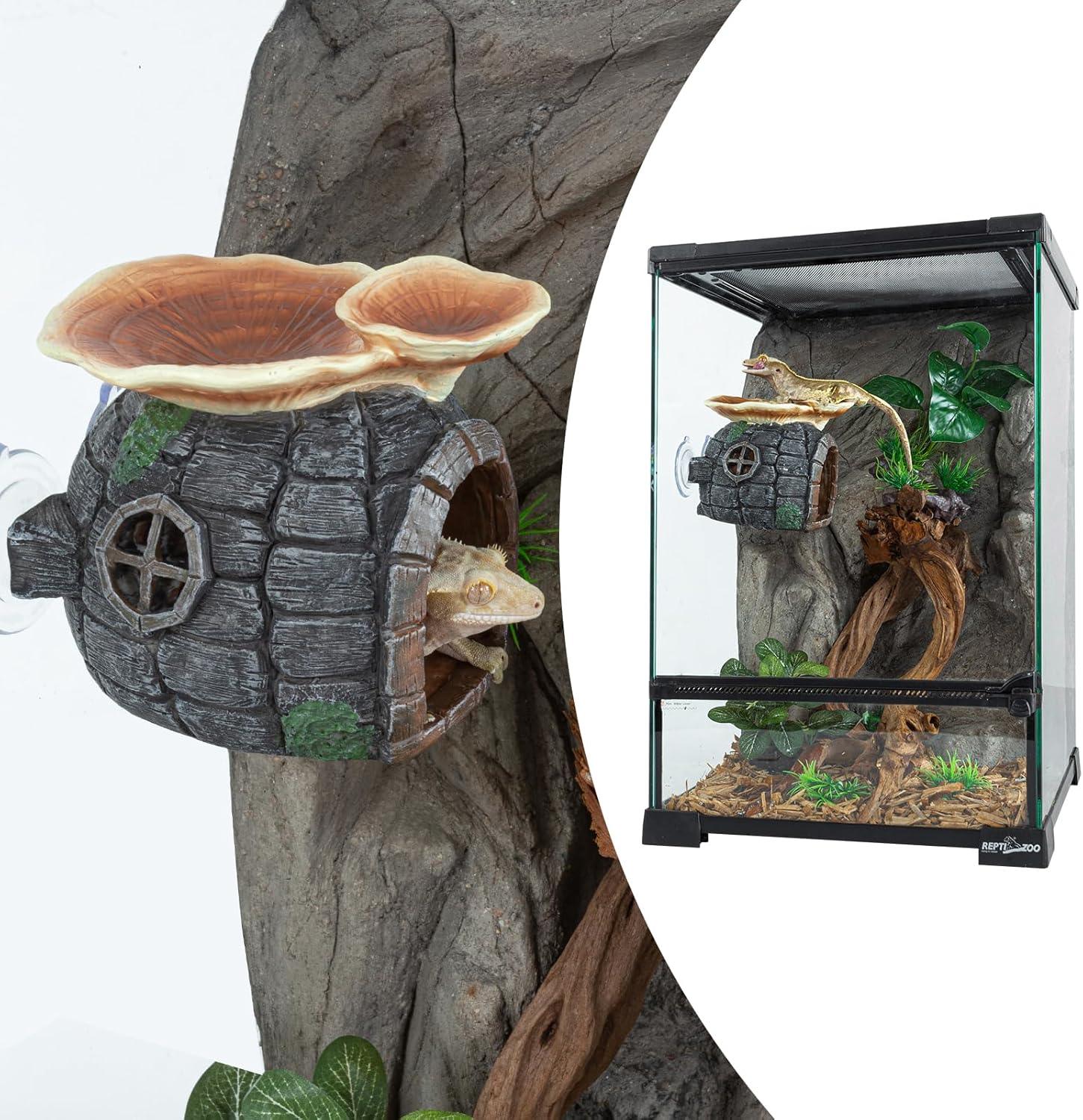 Reptile terrarium with gecko on resin hideout, plants, and naturalistic décor