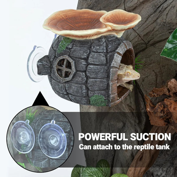 Reptile tank ornament hideout with suction cups, gecko inside, mushroom top, tree background