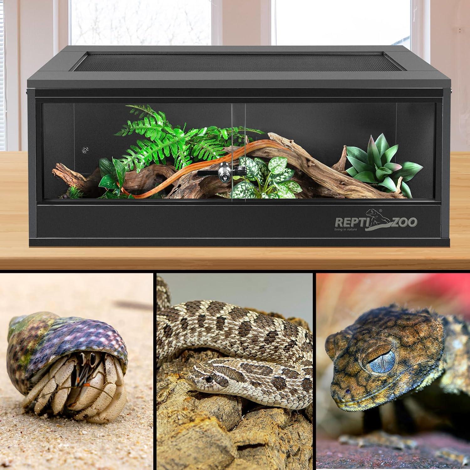 Glass reptile terrarium with plants, suitable for snakes, lizards, and hermit crabs.