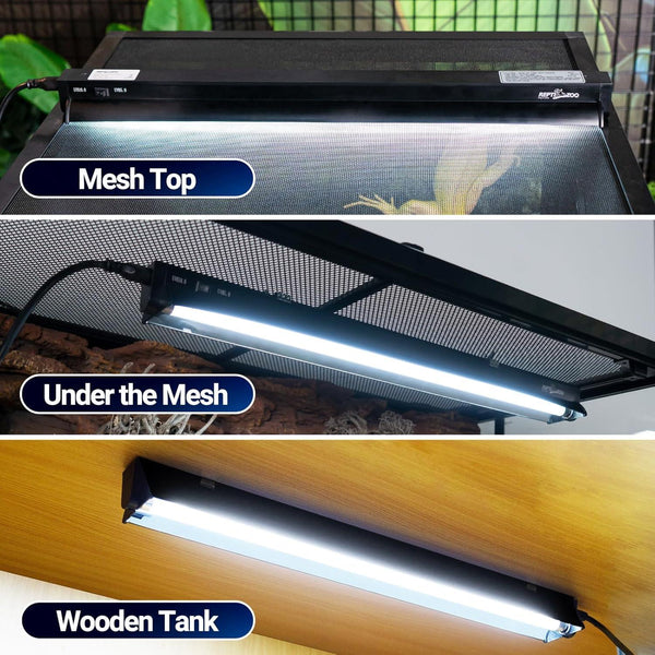 LED reptile terrarium light installed on mesh top, under mesh, and in wooden tank