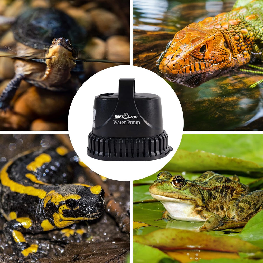 REPTIZOO Low-Water Level Drain Pump — Adjustable Flow for Turtle, Fish, and Paludarium Tanks