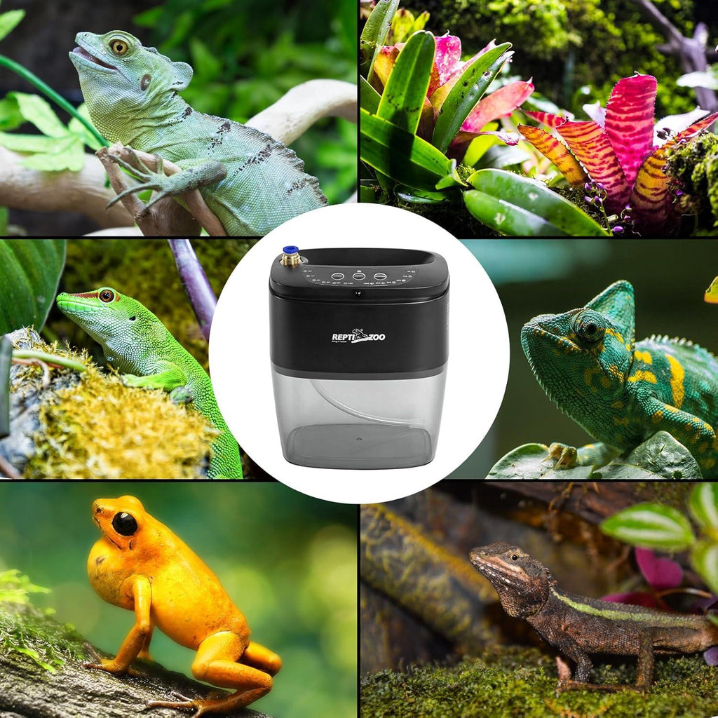 Automatic reptile misting system with tropical lizard, chameleon, frog, and terrarium plants.