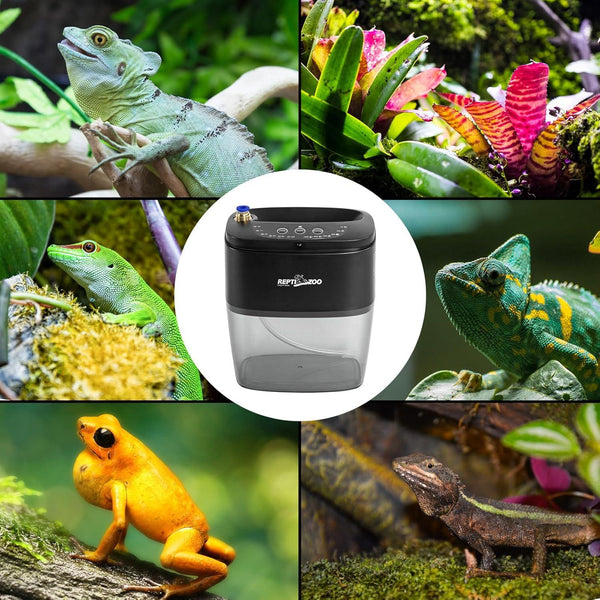 Automatic reptile misting system with tropical lizard, chameleon, frog, and terrarium plants.