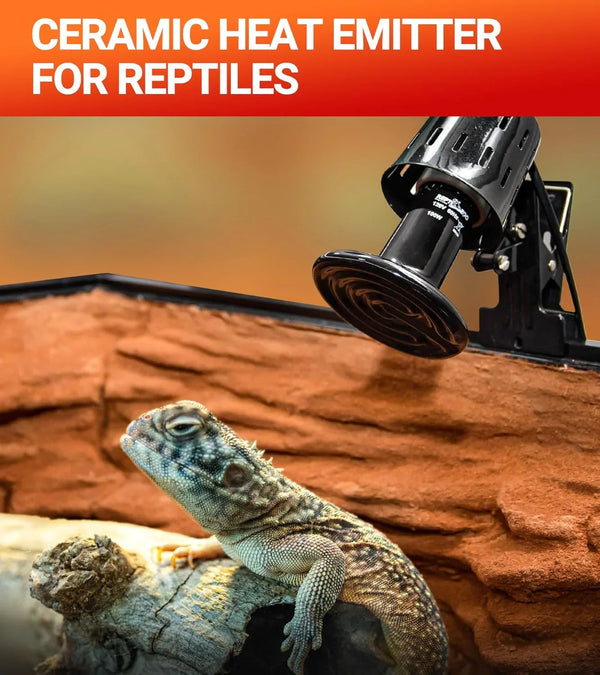 Ceramic heat emitter lamp installed in reptile terrarium with lizard on log