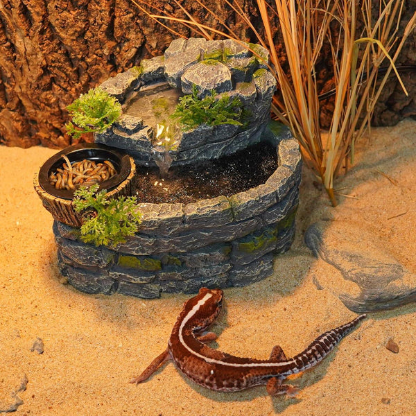 Reptile terrarium with decorative rock water fountain, mealworms, and gecko on sand.