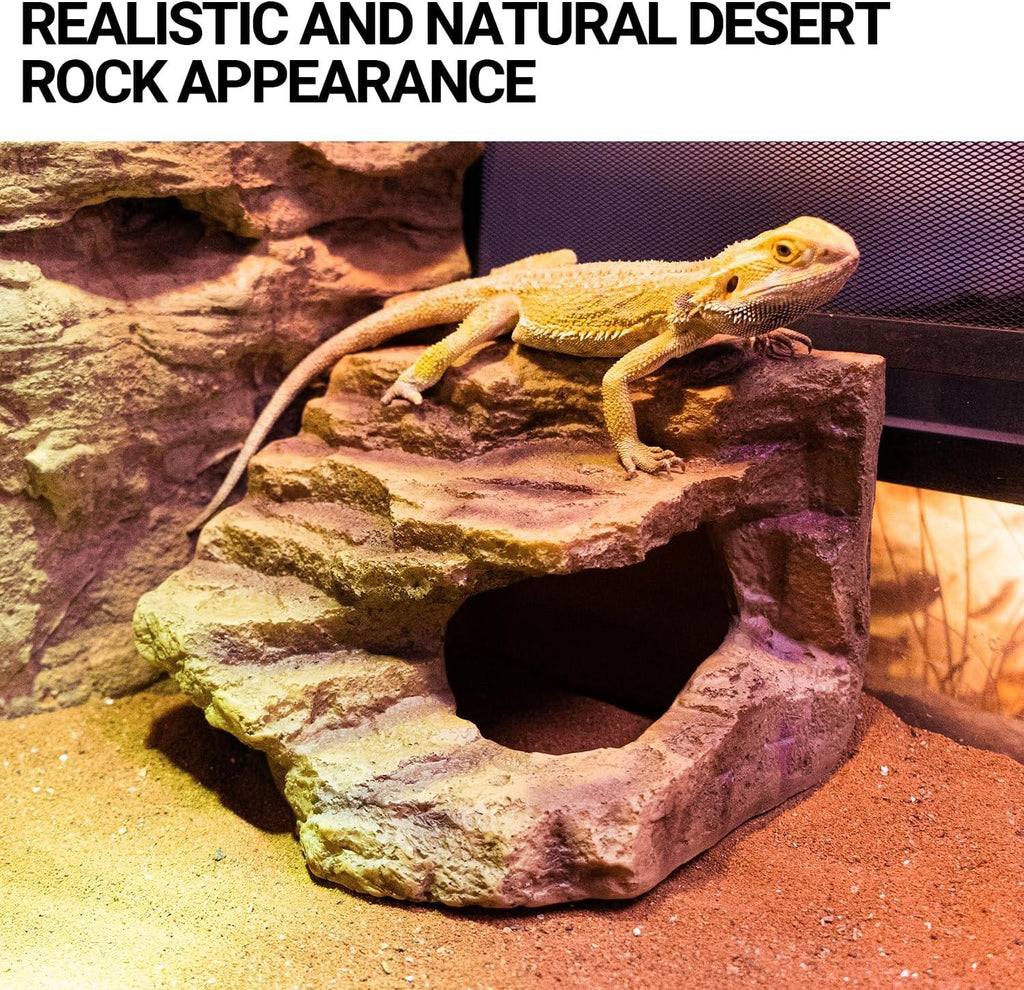 Bearded dragon on desert rock hide in terrarium, ideal reptile habitat decor