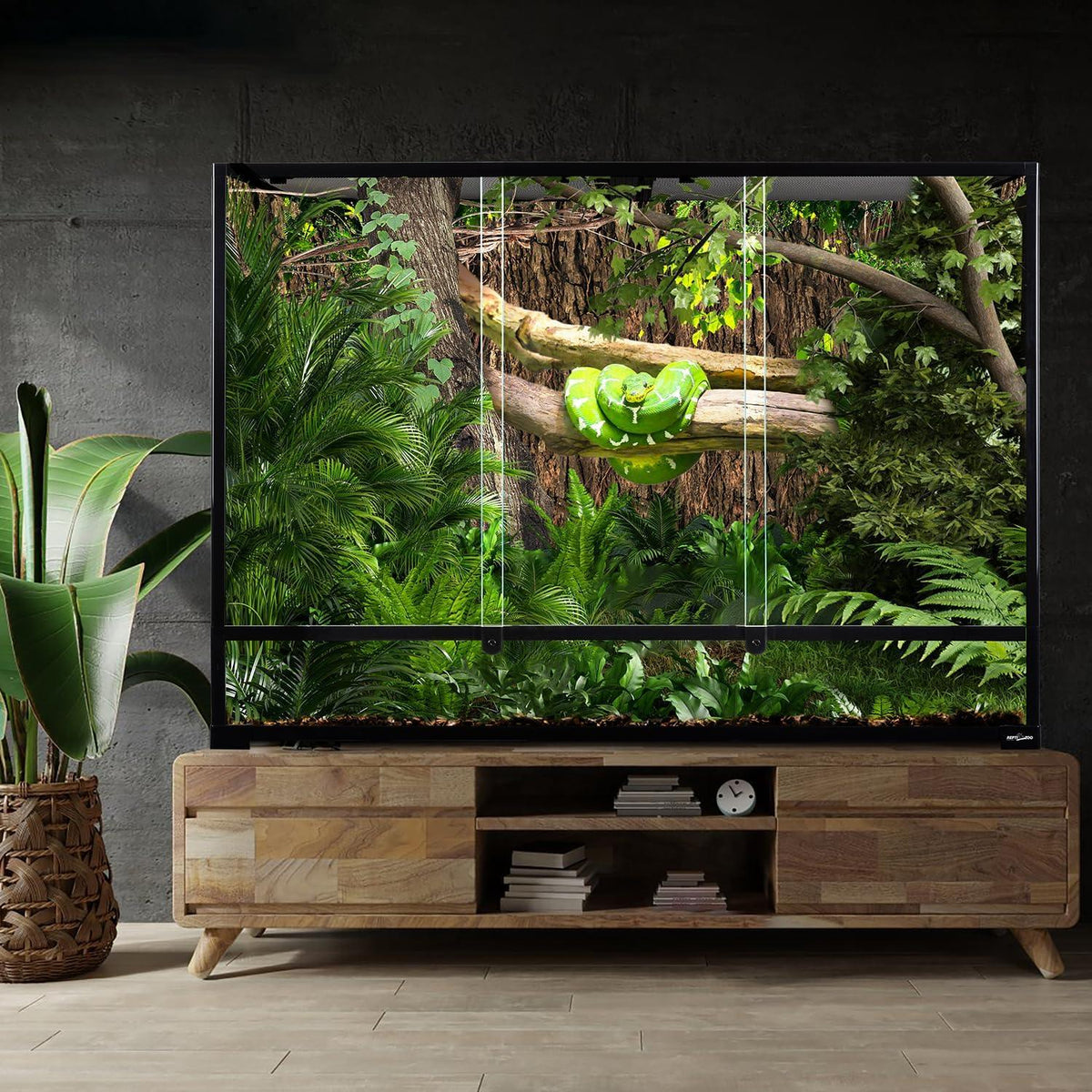 Large reptile terrarium with green snake on branch and lush tropical plants inside