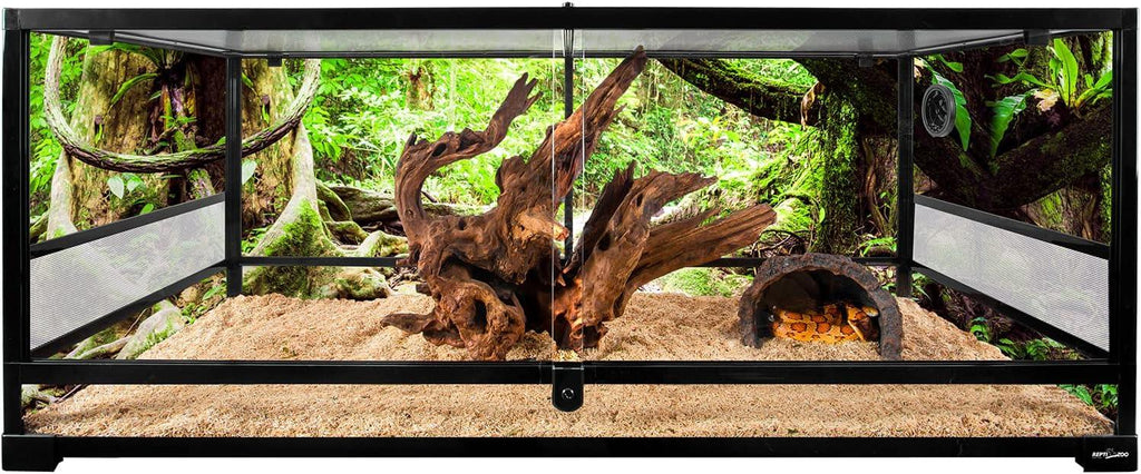 Large glass reptile terrarium with wood decor, hide, and a snake on substrate.
