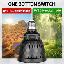 Load image into Gallery viewer, https://m.media-amazon.com/images/I/81RXh1y4mvL._AC_SL1500_.jpg