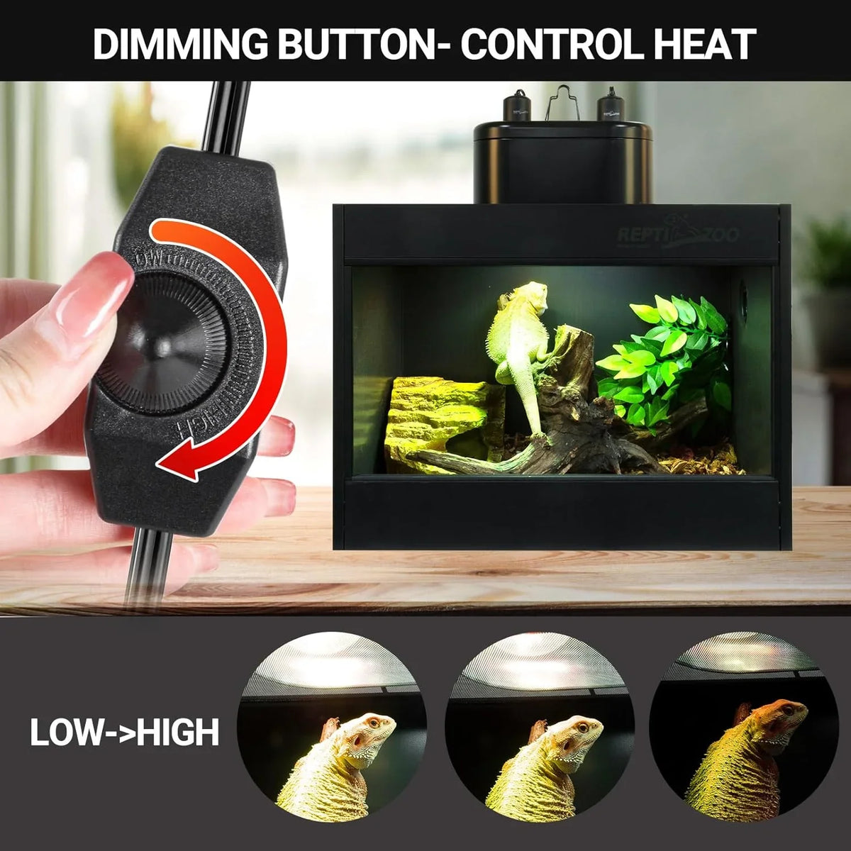 Reptile terrarium with adjustable heat lamp, dimming control knob, and bearded dragon basking.