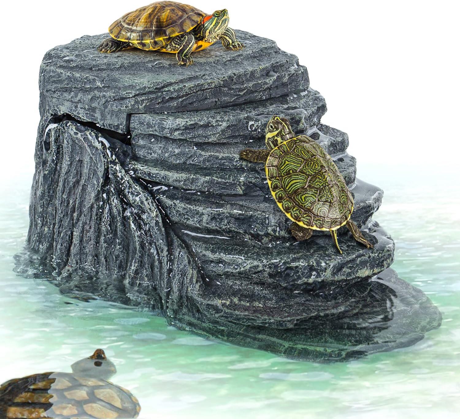 Turtles basking on a realistic rock platform in a reptile terrarium water habitat Main image