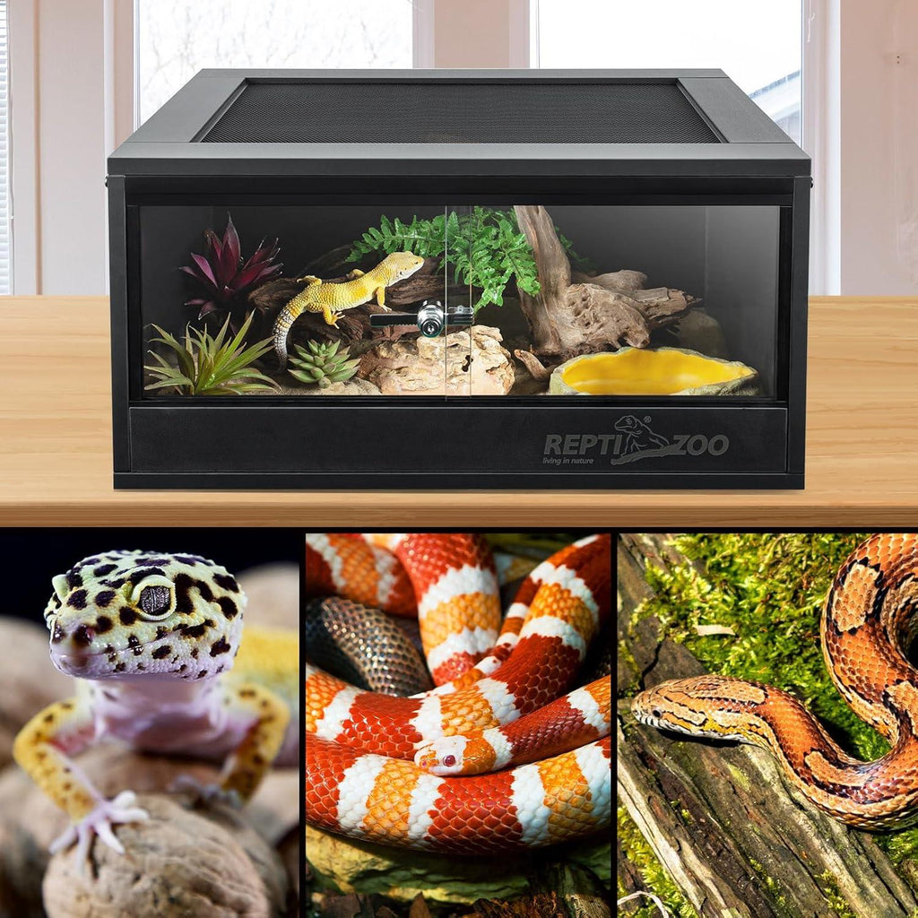Glass reptile terrarium with decorative plants, gecko, snakes, and secure locking front doors