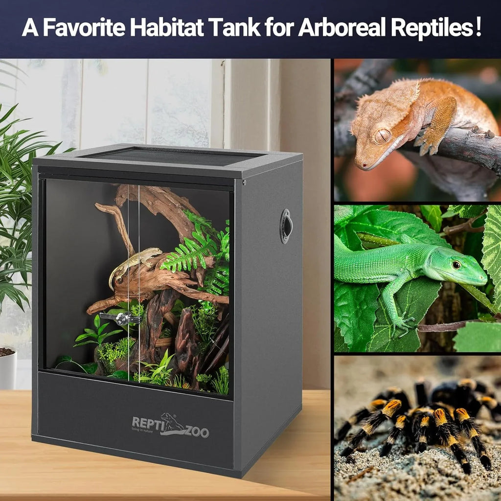 Glass reptile terrarium for arboreal reptiles with natural plants and wood, plus photos of gecko, green lizard, and tarantula.