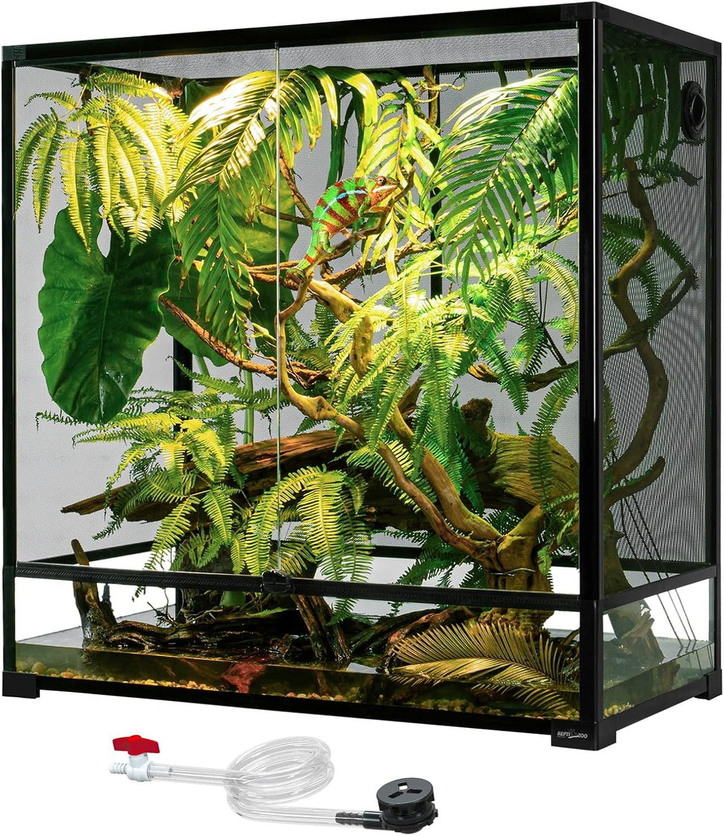 Glass reptile terrarium with green plants, branches, a chameleon, and a misting system hose