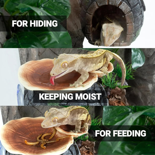 Crested gecko in terrarium using reptile hideout, water dish, and feeding bowl.