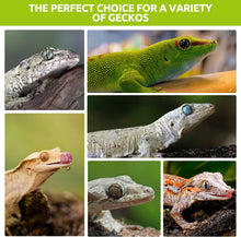 Load image into Gallery viewer, REPTIZOO FRIENDLY Crested Gecko Insect Puree Banana Fruit Mix 2oz