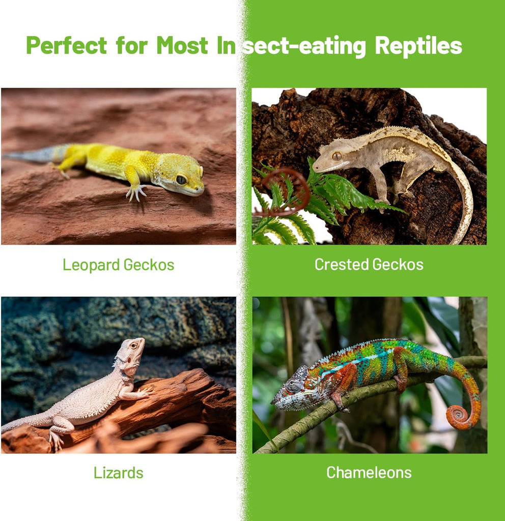 Premium Insect Puree Gecko Food, Silkworm Paste for Healthy Lizards & Reptiles