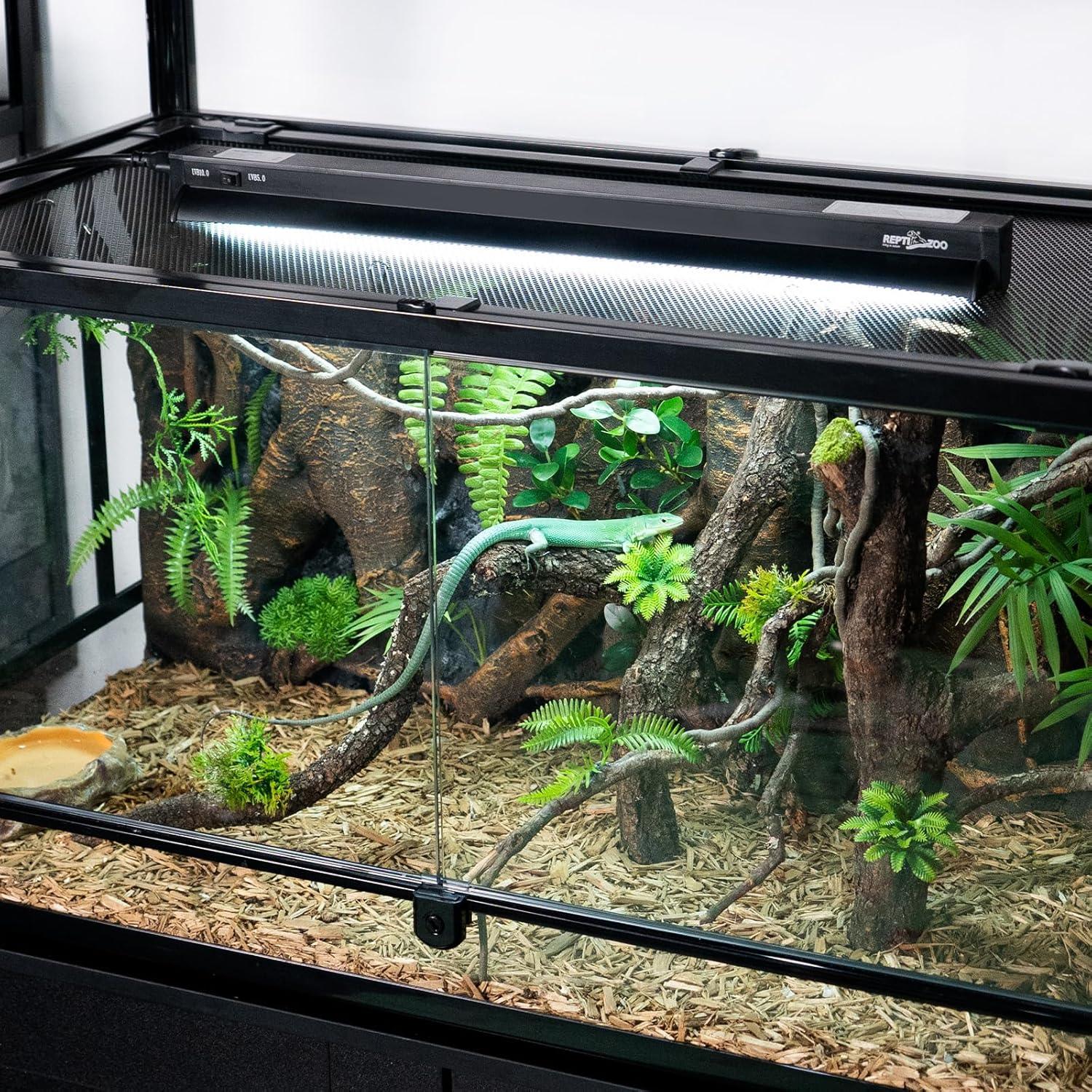 Glass reptile terrarium with UVB light, natural branches, plants, and a green lizard.