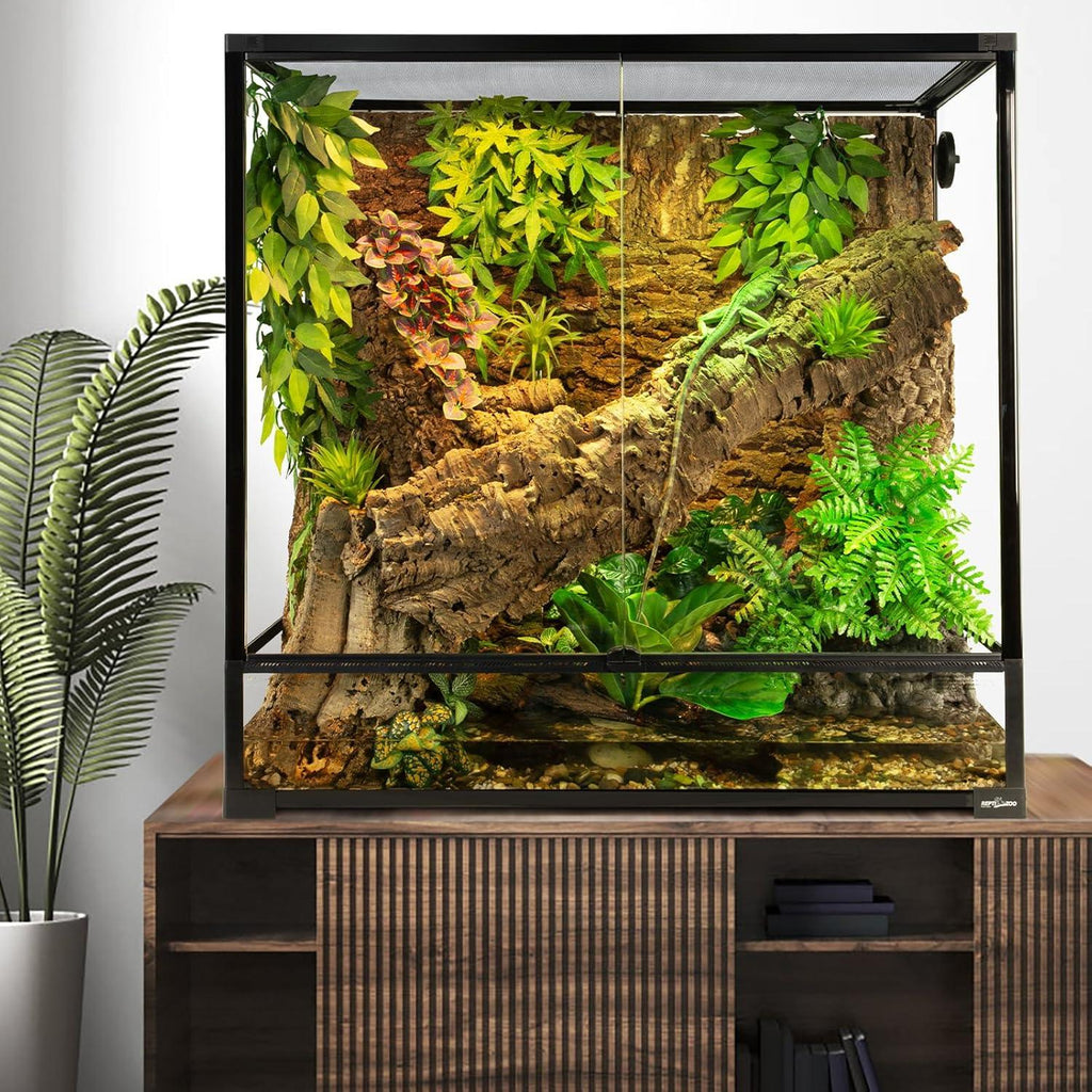 Glass reptile terrarium with climbing branch, lush plants, and screened top on a cabinet