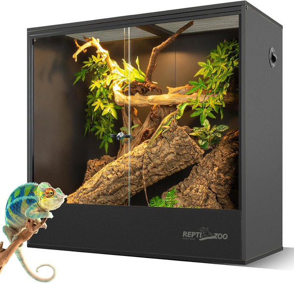 Glass reptile terrarium with branches, plants, and a chameleon on a branch