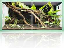 Load image into Gallery viewer, https://m.media-amazon.com/images/I/81gupLVRWTL._AC_SX679_.jpg