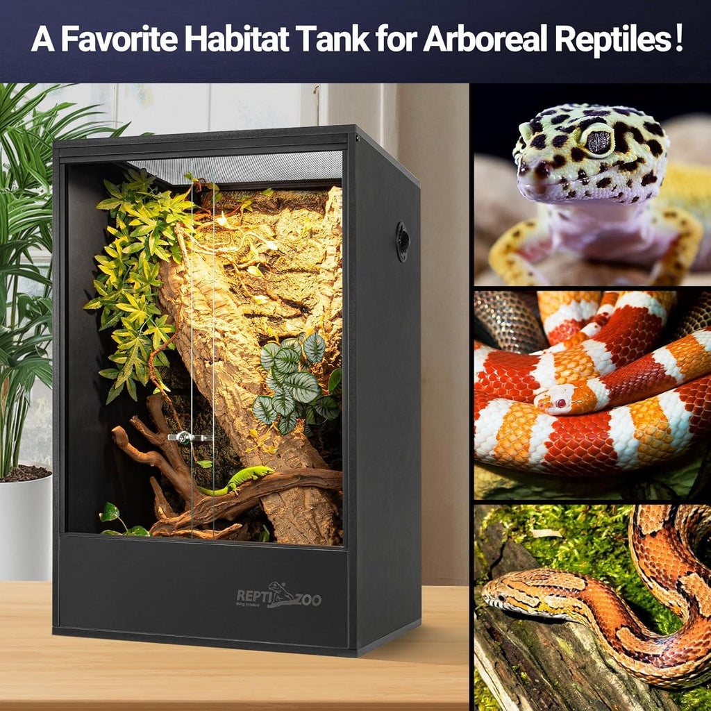 Vertical reptile terrarium enclosure with glass doors, lush plants, and arboreal habitat setup, shown alongside close-up images of pet snakes and gecko.