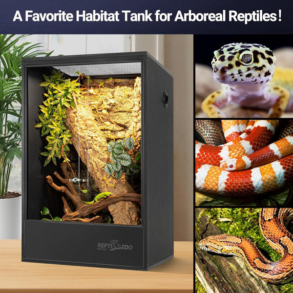 Vertical reptile terrarium enclosure with glass doors, lush plants, and arboreal habitat setup, shown alongside close-up images of pet snakes and gecko.